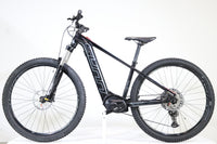 Sunn Flash 4 2020 T.S 2887