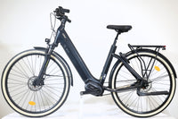 O2FEEL iSwan Urban Boost 8.1 2022 T.M 240910