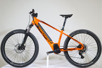 MEGAMO Ridon HT 10 2024 T.S
