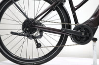 LIV Amiti E+ 2D Rosewood 2022 T.M