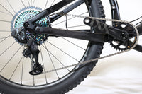 CUBE AMS 100 C:68 SLT 29 2021 T.L 251464