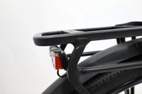 GAZELLE Chamonix T10 HMS Low-Step 2022 T.S