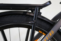 HAIBIKE Trekking 10 2022 T.L