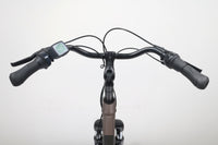 GAZELLE Paris C7 HMB FL 2022 T.L