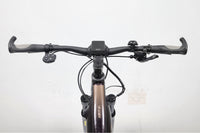 LIV Amiti E+ 2D Rosewood 2022 T.M