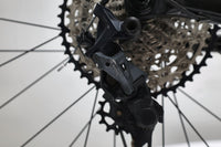 GIANT Reign 1 2024 T.S