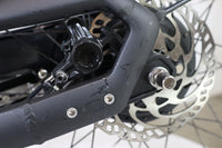 GAZELLE Bloom C380 HMS 2022 T.L 245081