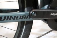 WINORA Sinus 9 2021 T.52 252165