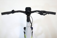 HAIBIKE Trekking 6 LowStep 2022 T.M