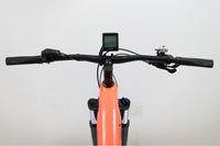 TREK Powerfly 4 2023 T.M