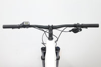 TREK Powerfly 5 2021 T.L