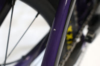 GIANT Reign SX 2021 T.L 252124