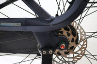 GAZELLE Avignon C8 2023 T.L