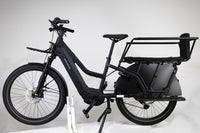 Riese & Müller Multicharger2 Mixte GT Family 2098