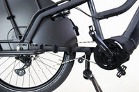 Riese & Müller Multicharger2 Mixte GT Family 2098