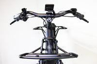 Riese & Müller Multicharger2 Mixte GT Family 2098