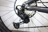 GIANT Trance X 29 1 2021 M 1902