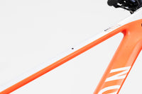 Canyon Strive CFR 2020 L 2241