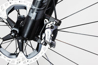 Canyon Strive CFR 2020 L 2241