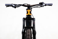 HAIBIKE ALLMTN CF 6 2022 S 2300