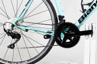 Bianchi Intenso 2019 T.57 2194