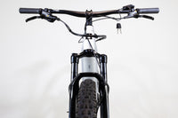 HAIBIKE Alltrack 9 2023 S 2421