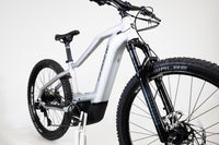 HAIBIKE Alltrack 9 2023 S 2421