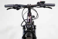Liv Amiti E+ 2 Rosewood 2022 XS 2374
