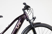 Liv Amiti E+ 2 Rosewood 2022 XS 2374