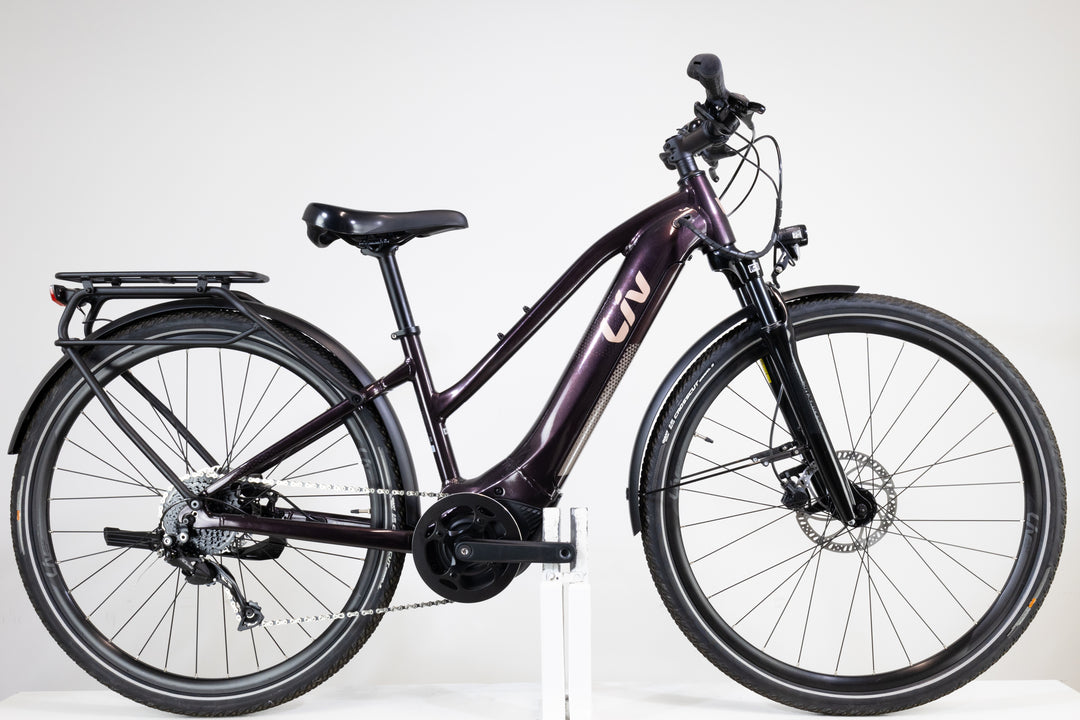 Liv Amiti E+ 2 Rosewood 2022 XS 2374