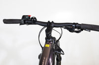 Liv Amiti E+ 2 Rosewood 2022 XS 2374