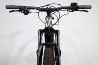Liv Embolden E+1 29er 2022 S 2385