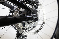 GIANT Trance  29 1 2022 M 2404