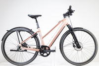 Riese&Müller UBN SEVEN 2023 430WH T.45 2196