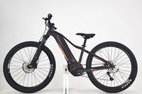 GIANT Liv Tempt E+1 Figuier 2022