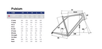 LAPIERRE Pulsium 3.0 CP 2023 T.S