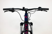 GIANT LIV Vall-E+3 Power 2019 M