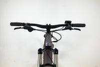GIANT Liv VALL E+2 2021 S