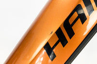 HAIBIKE ALLMTN CF 6 2022 L