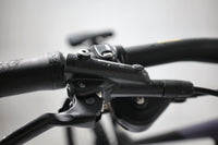 GIANT Reign 1 2024 T.L
