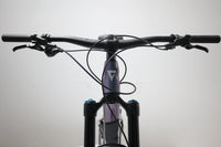 GIANT Reign 1 2024 T.L