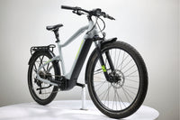 Haibike Trekking 6 2022 T.M