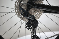 GIANT Reign 1 2024 T.L