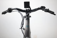 WINORA Sinus R5 2023 T.54