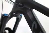 CANYON Strive CFR Underdog 2024 T.M
