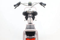 GAZELLE Miss Grace C7 HMB 2022 T.L