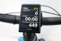 CUBE Stereo Hybrid 140 HPC Actionteam 750 2024 T.L