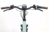 RIESE&MÜLLER Swing Silent 2022 T.51
