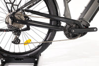 ADVANCED E-BIKE Trekking Pro Mixed 2023 T.45