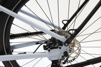 CANNONDALE Adventure Neo 3.1 EQ 2024